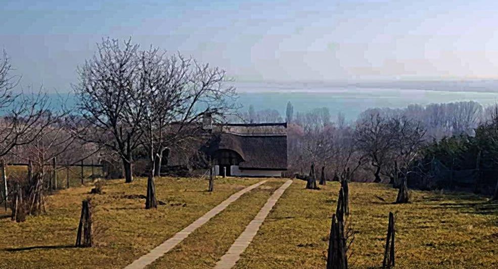 Villa Korozsa Vendeghaz Тихани Екстериор снимка